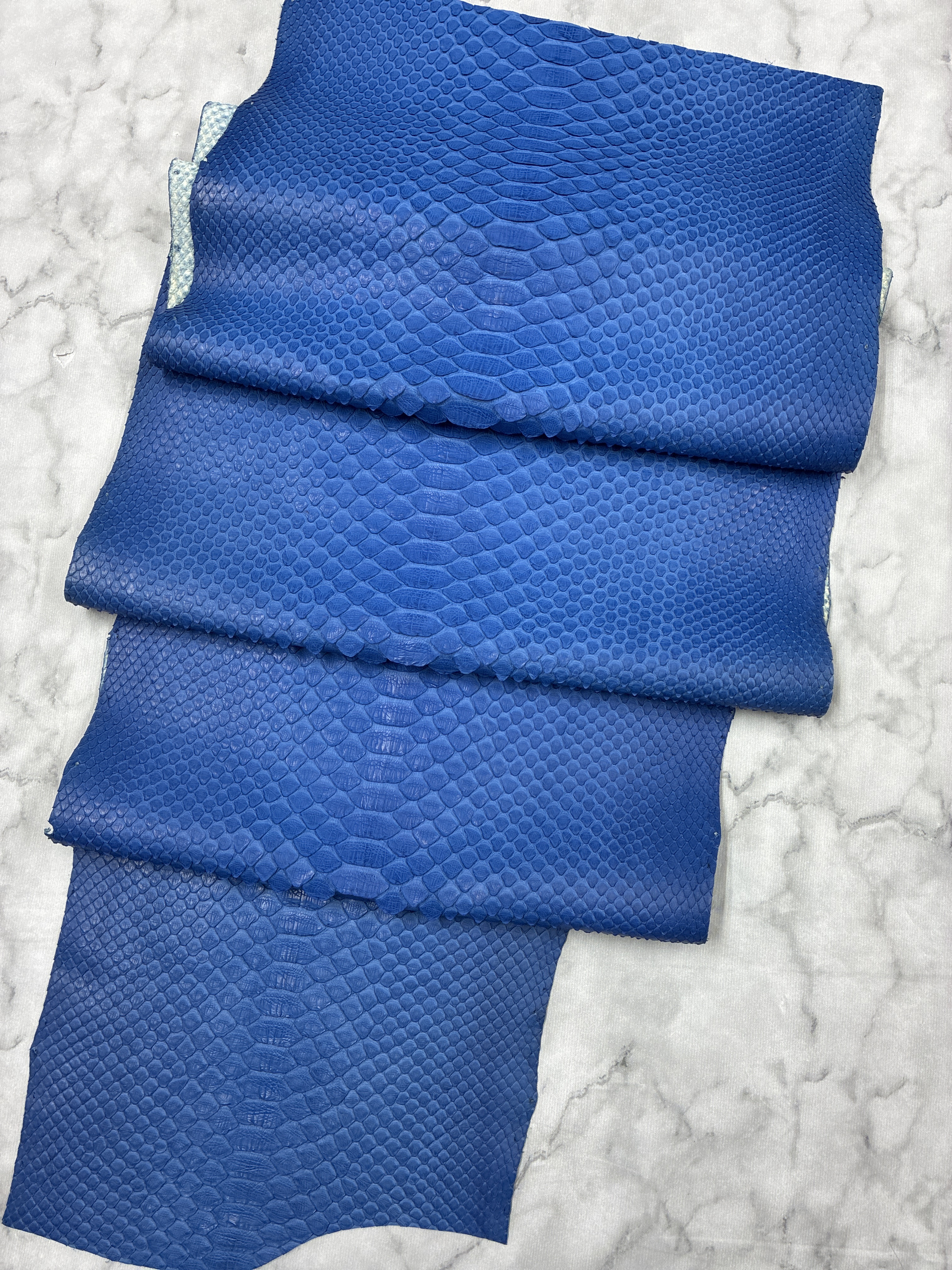 パイソン ヘビ革 ブルー×マット 227cm_P274