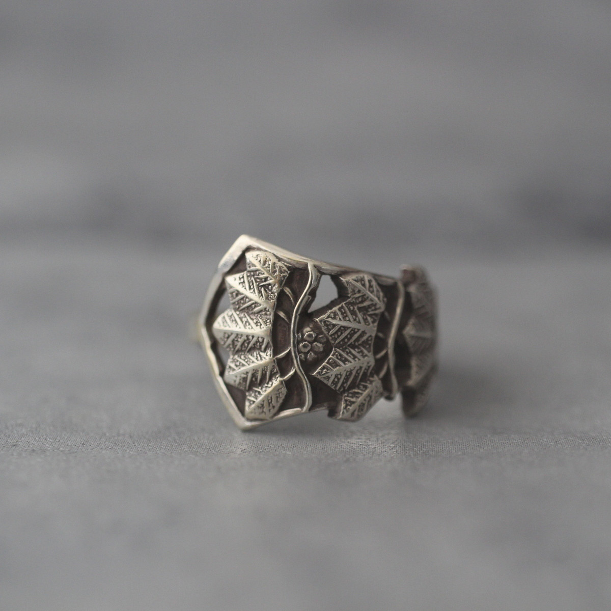 寒い冬でも力強く伸びる松の枝