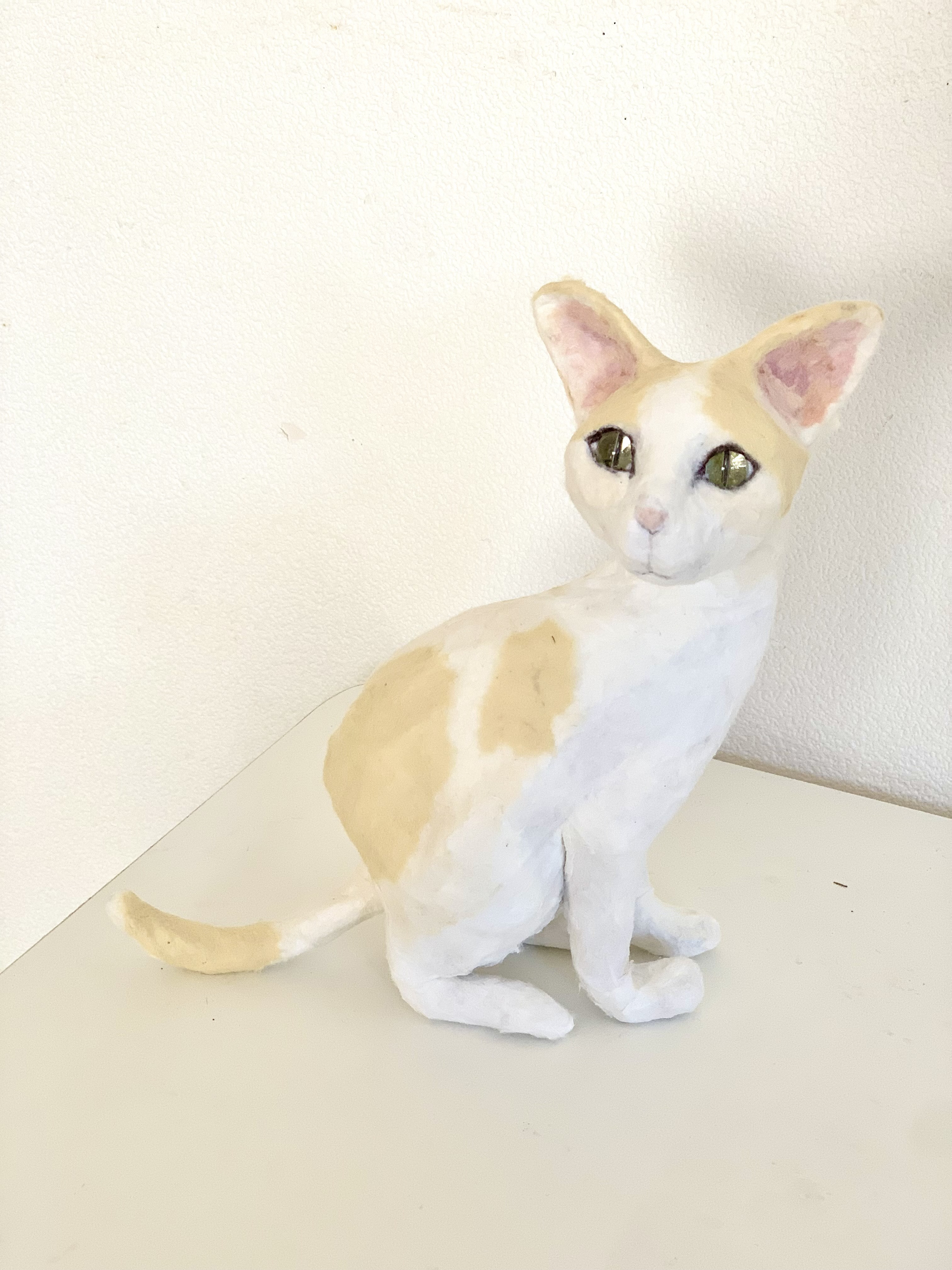 和紙の茶トラお座り猫