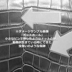 ワニ革  半艶マット  イタリアンイエロー「長財布向け」サイズ No.CM0197 10枚目の画像