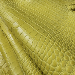 ワニ革  半艶マット  イタリアンイエロー「長財布向け」サイズ No.CM0197 20枚目の画像