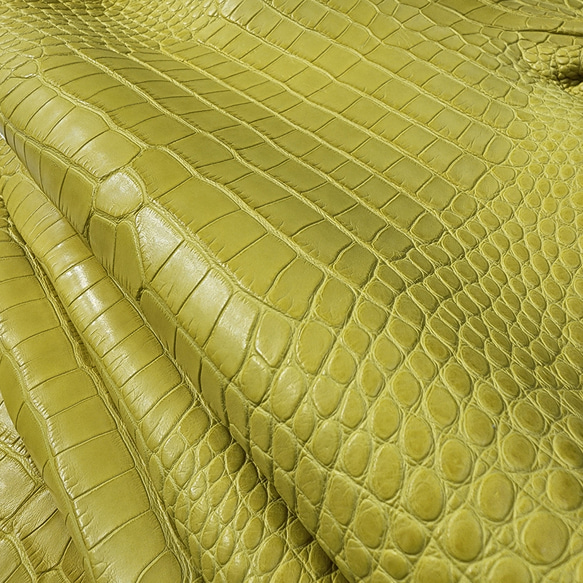 ワニ革  半艶マット  イタリアンイエロー「長財布向け」サイズ No.CM0197 20枚目の画像