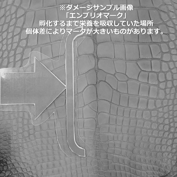 ワニ革  半艶マット  イタリアンイエロー「長財布向け」サイズ No.CM0197 13枚目の画像