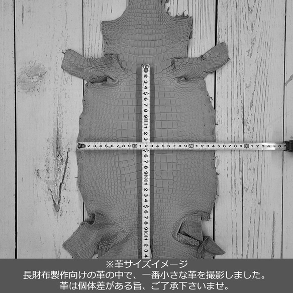 ワニ革  半艶マット  イタリアンイエロー「長財布向け」サイズ No.CM0197 7枚目の画像