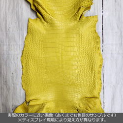 ワニ革  半艶マット  イタリアンイエロー「長財布向け」サイズ No.CM0197 2枚目の画像