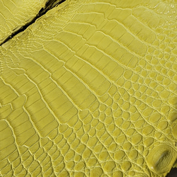 ワニ革  半艶マット  イタリアンイエロー「長財布向け」サイズ No.CM0197 19枚目の画像