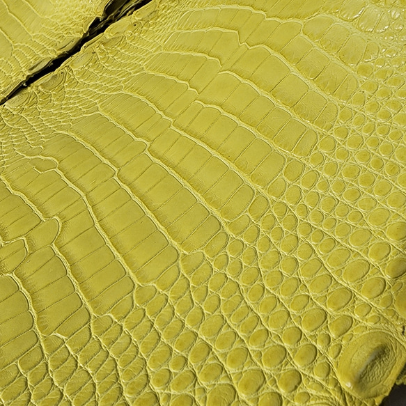 ワニ革  半艶マット  イタリアンイエロー「長財布向け」サイズ No.CM0197 19枚目の画像
