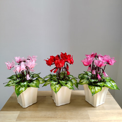 胡蝶蘭♡ピンク♡鉢植え♡アメリカンフラワー♡ディップアート アート