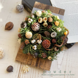 アーティチョークのスワッグ ドライフラワー powder 通販 12009958