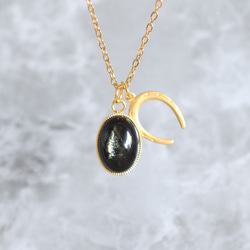 2026午年【数量限定・残4】希少石　グリーンマイカ　カボション　馬蹄チャーム　サージカルステンレスネックレス40cm 1枚目の画像