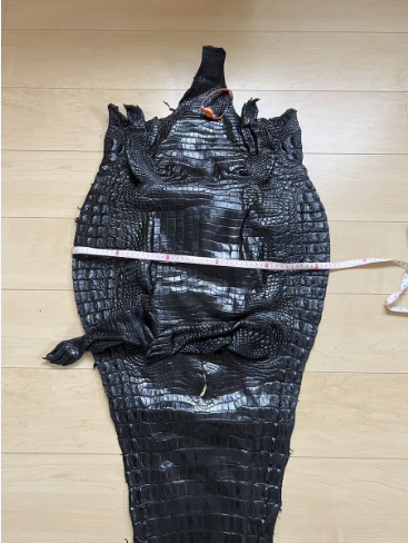 ワニ革 クロコダイル52 cm 腹部 生地 レザークラフト 天然素材 材料 手細工 手作り 鞄 長財布用