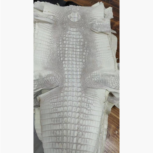 ヒマラヤワニ革/ /横45cm クロコダイル 天然素材 本物保証 レザークラフト 背部革 手細工 鞄ハンドメイド 材料