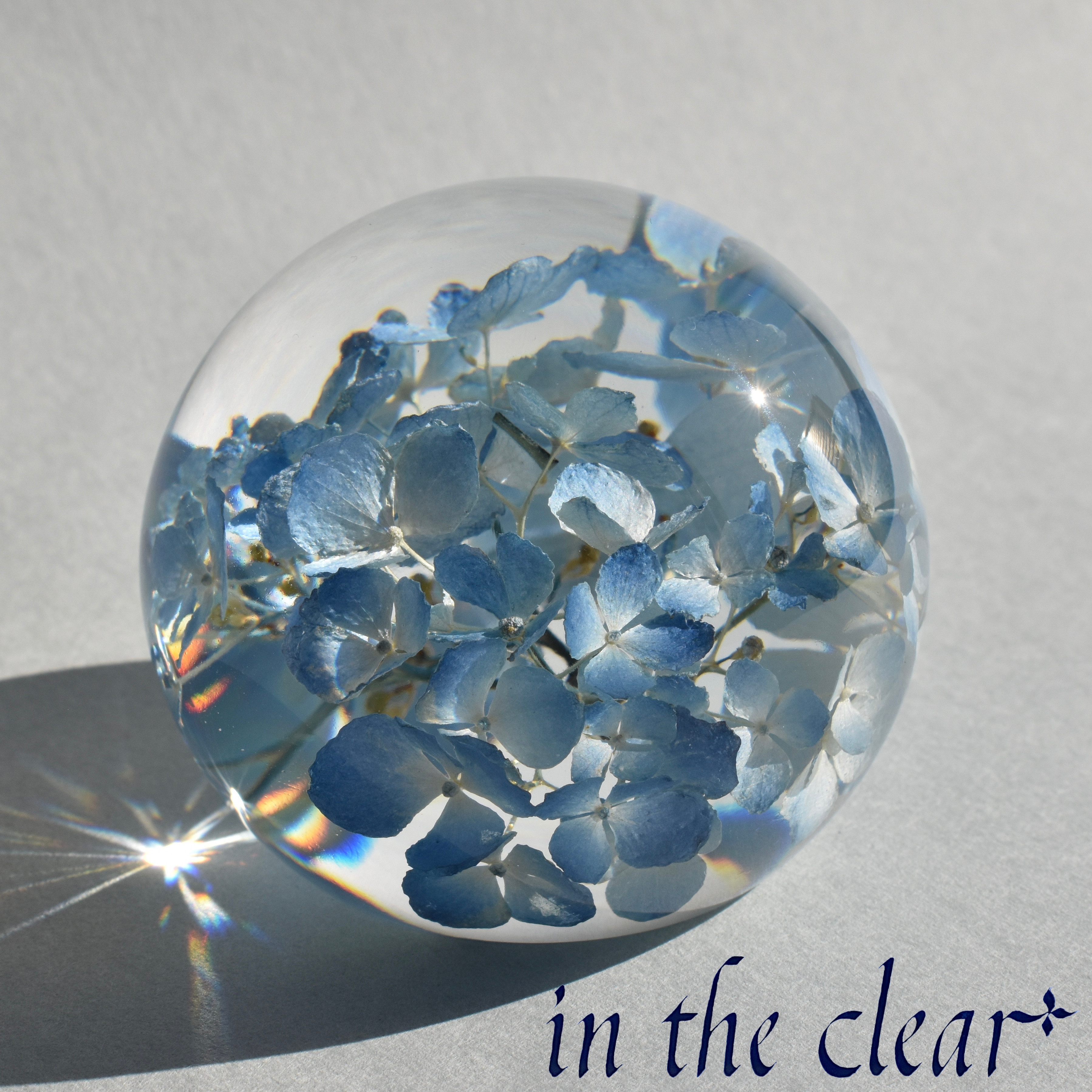 植物標本　紫陽花　水色　レジン　６センチ球体