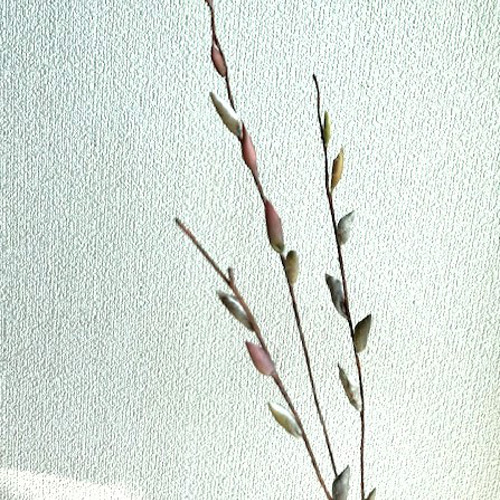 手染め花・布花 ねこやなぎ2枝② 早春の和洋空間のインテリアなどに