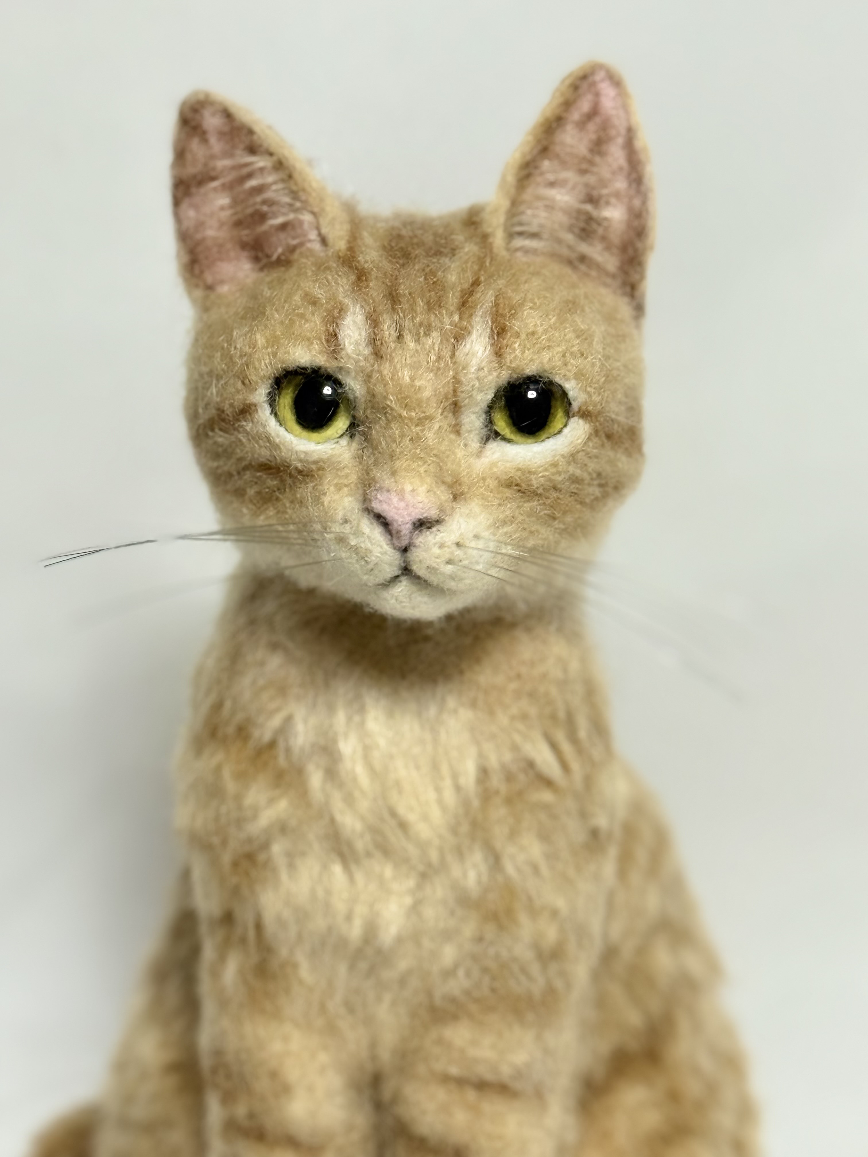 羊毛フェルト 猫 茶トラ サンプルページ ねこ