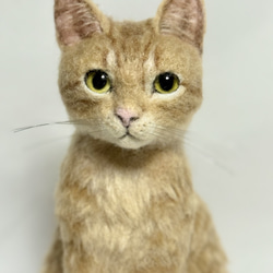 mia 受注商品 ノルウェージャンフォレストキャット 置物 猫 長毛種