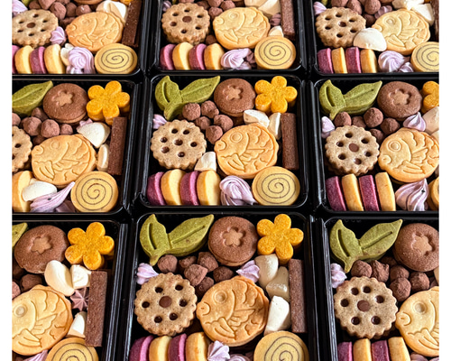 クッキー おせちクッキー缶 2026 クッキー AtelierCookMignon 通販 20084565