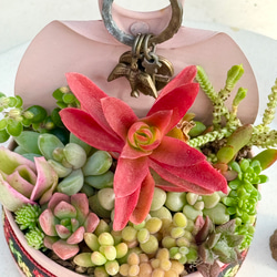 紅葉中！リメ缶寄せ植え♡時計＊多肉植物＊リメ缶ごと 多肉植物 ＊N