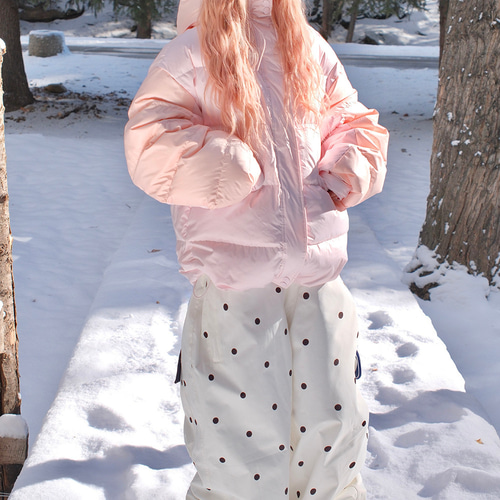 25-26 スノーボードウェア 上下セット ピンク 白 メンズ レディース