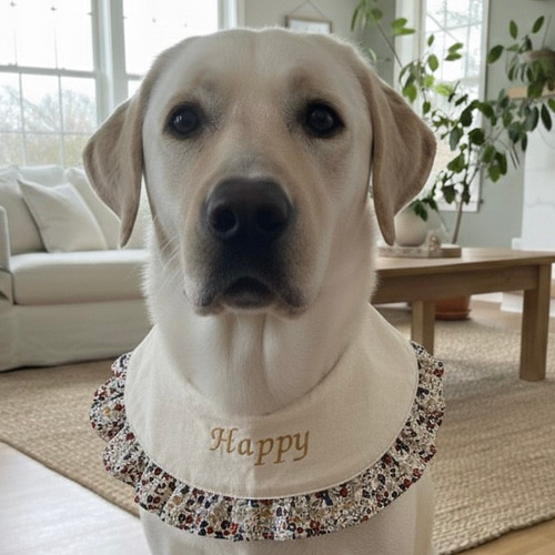 大型犬用 フリフリ フリルスタイ ペット服・アクセサリー ⭐︎buddy