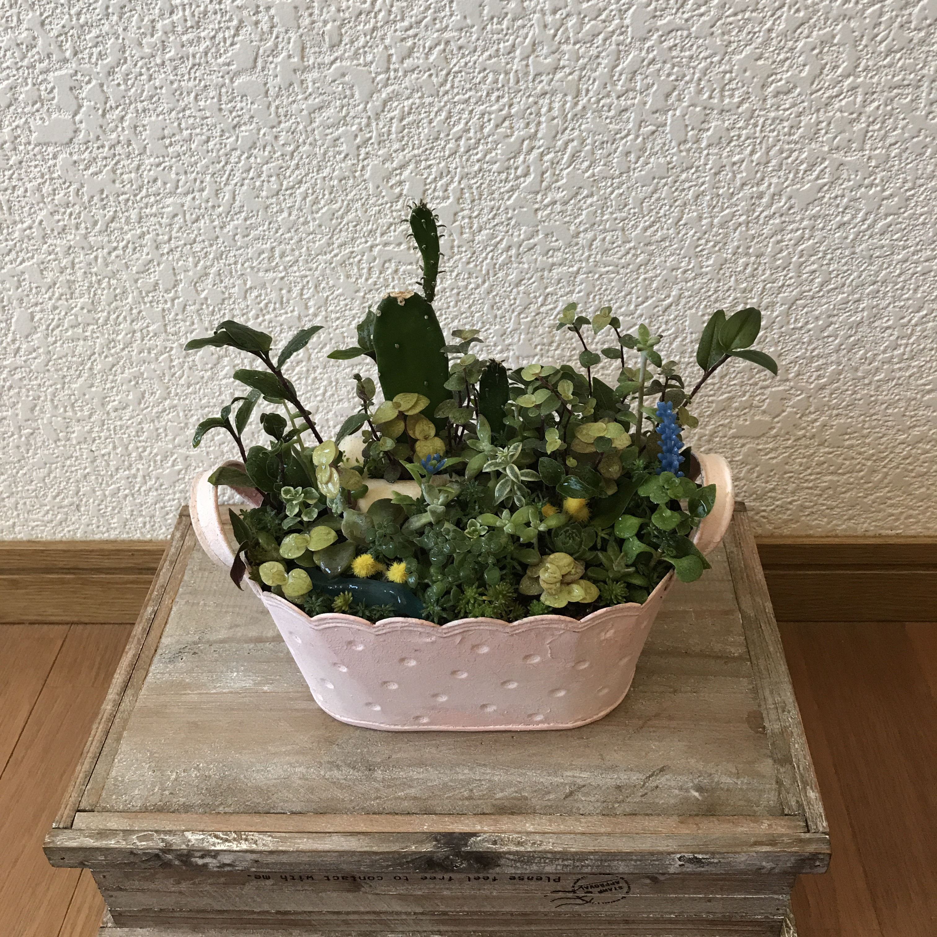 《新作》ピンクのスチール缶に多肉植物とサボテンのアレンジ（1点限定）