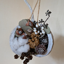 グリーンインテリア・ドライフラワー】お正月飾り ユーカリポポラスの