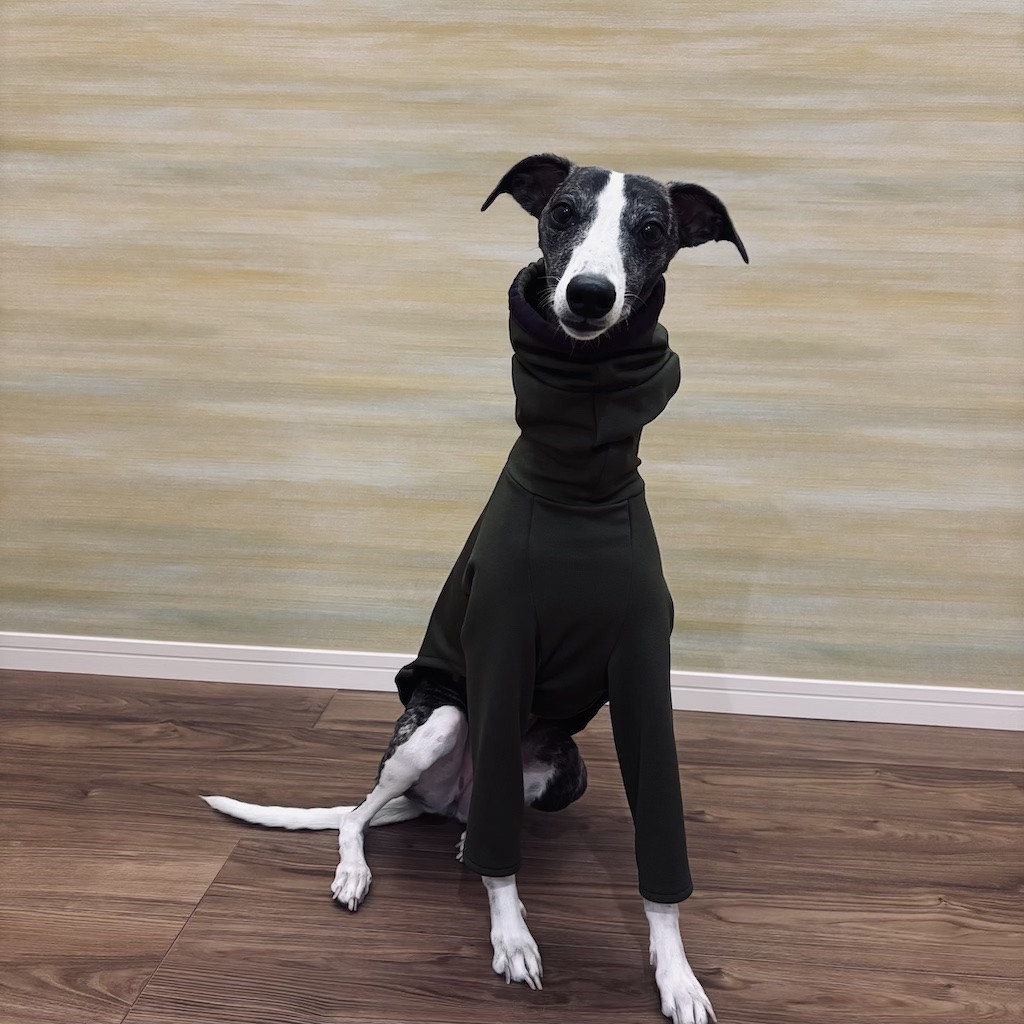 【受注制作】耳まで隠れるハイネックTシャツ（絞りあり）（カーキグリーン）