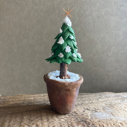 9921.［ハルミンさま］bud  小さなモミの木 3枚目の画像