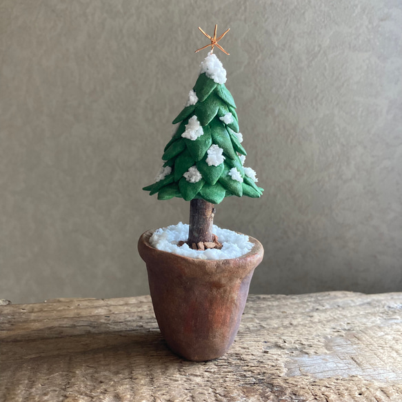 9921.［ハルミンさま］bud  小さなモミの木 3枚目の画像