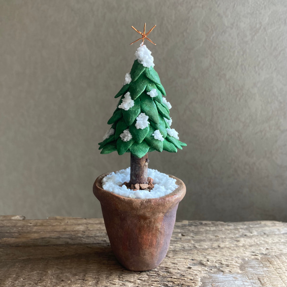 9921.［ハルミンさま］bud  小さなモミの木 1枚目の画像