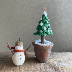 9921.［ハルミンさま］bud  小さなモミの木 5枚目の画像