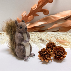 羊毛フェルト エゾリス 羊毛フェルト りすすのす 通販 12042251