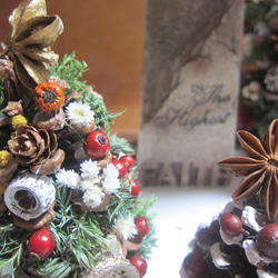 3点セット松ぼっくりのクリスマスツリー　降誕祭　イエスキリスト生誕　ユーカリ 3枚目の画像