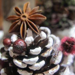 3点セット松ぼっくりのクリスマスツリー　降誕祭　イエスキリスト生誕　ユーカリ 7枚目の画像