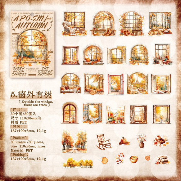 1690コラージュ　ステッカー　素材　コレクション　海外 6種セット 10枚目の画像