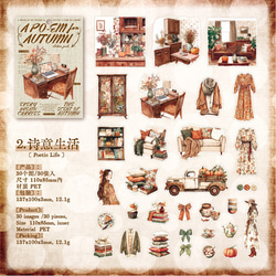 1690コラージュ　ステッカー　素材　コレクション　海外 6種セット 7枚目の画像