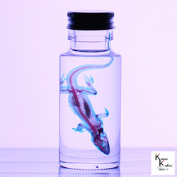 6e9343b09566b6d74ab4ae7dc6d819