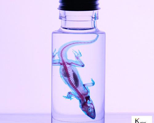 6e9343b09566b6d74ab4ae7dc6d819