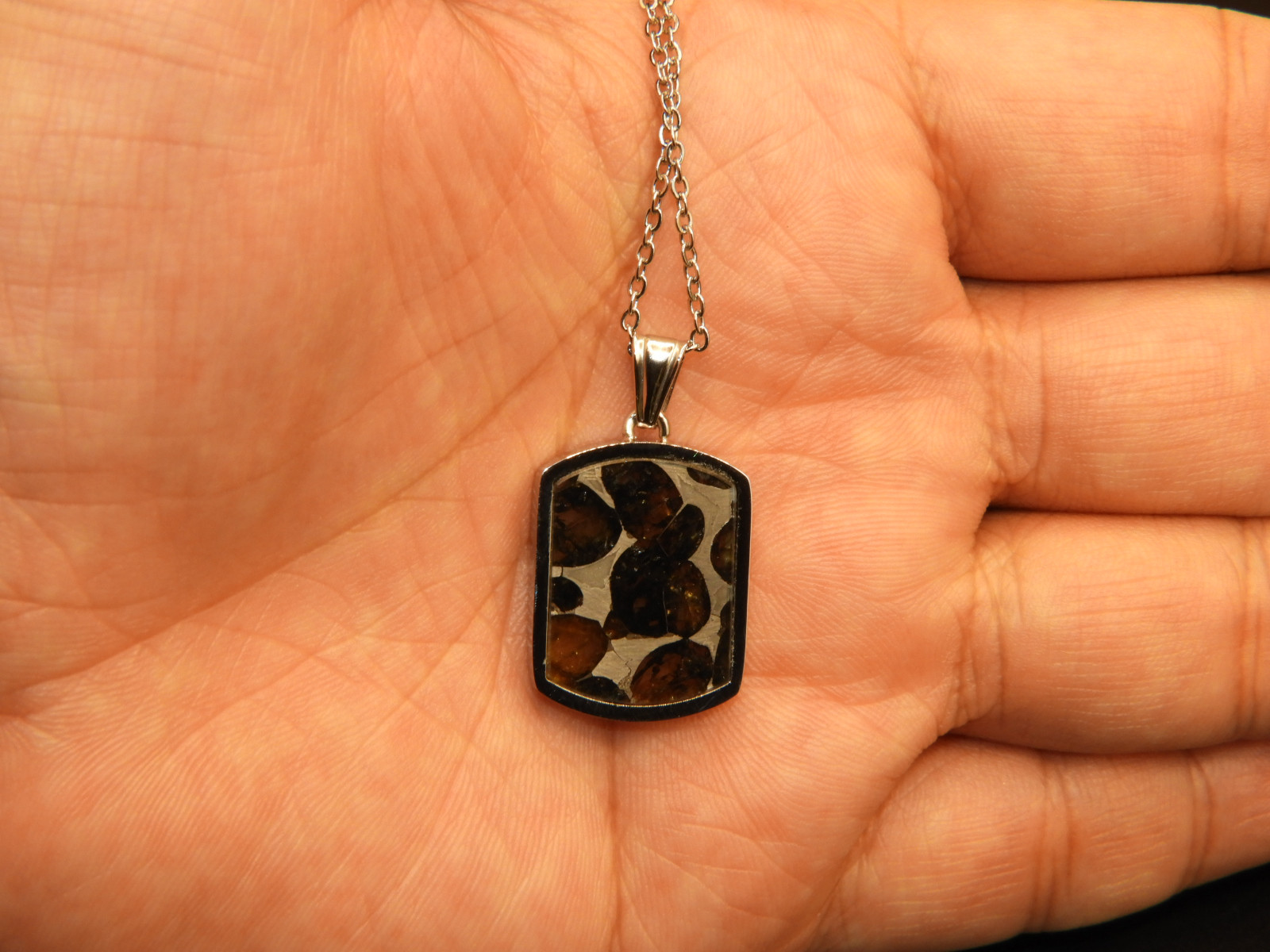 新作！宇宙の記憶！ロシア産の超貴重なパラサイト隕石のペンダントトップ！天然石　１０