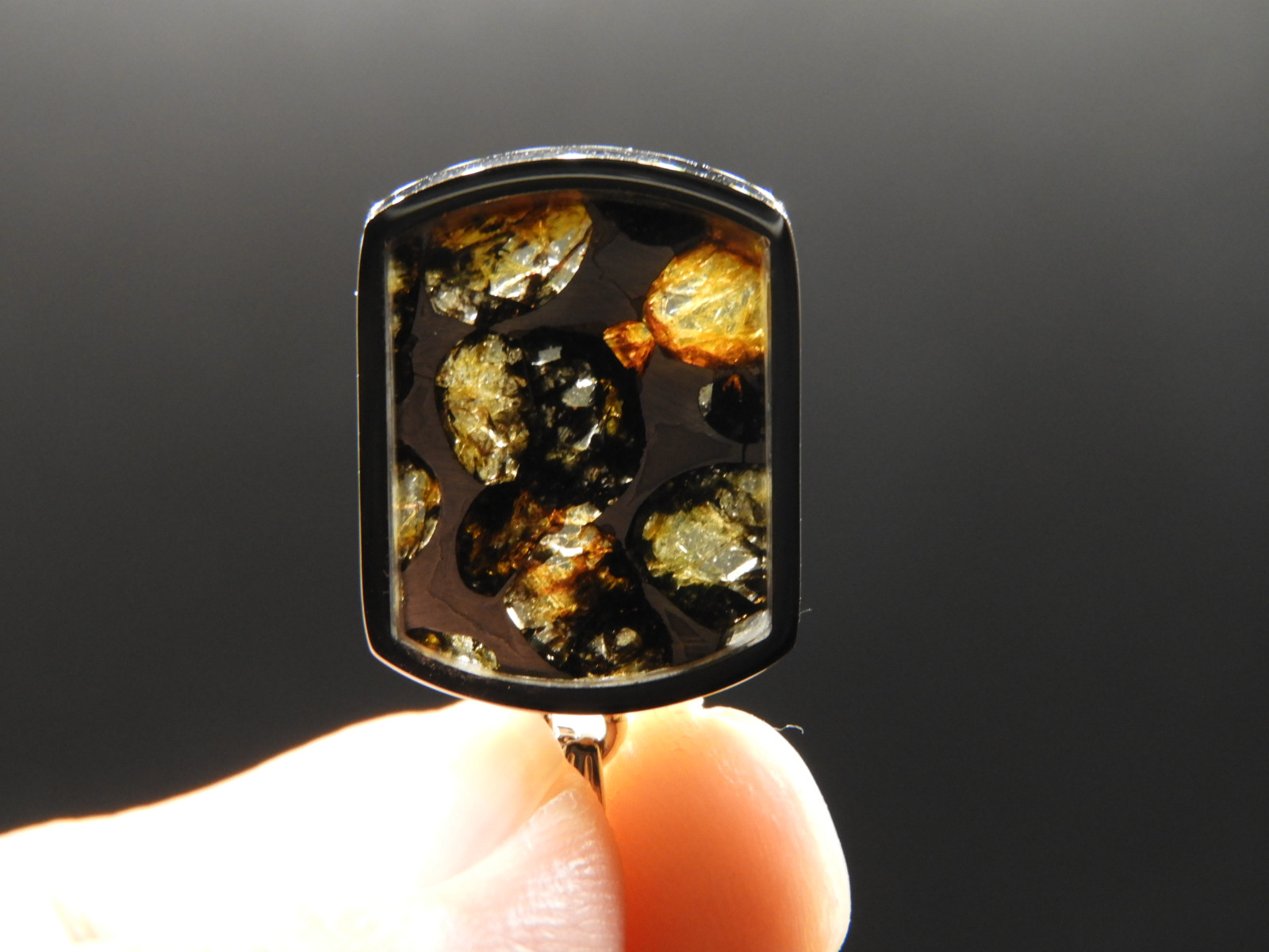 新作！宇宙の記憶！ロシア産の超貴重なパラサイト隕石のペンダントトップ！天然石　１０