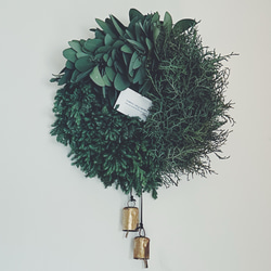 Botanical wreath 6 popolus ユーカリポポラスリース リース Creams