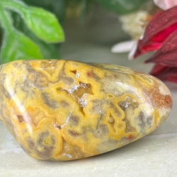 トライゴーニック✨カクタスアメジスト　サボテン水晶　ラフストーン　原石 カクタスアメジスト アフリカ産 トライゴーニックあり | SUMISTONES