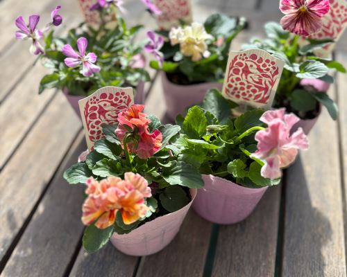 2bf381a20ba90c2daed7f925a5ead9