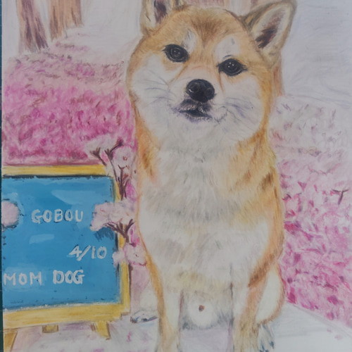 手描きイラスト　色鉛筆画　オーダー商品 手描きイラスト 色鉛筆画 オーダー商品 - メルカリ