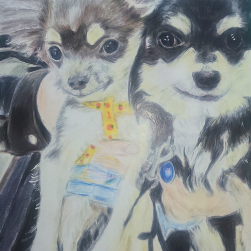 手描きイラスト　色鉛筆画　オーダー商品（A4） 手描きイラスト 色鉛筆画 オーダー商品 - メルカリ