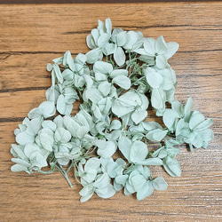 定形外郵便 送料無料】プリザーブドフラワー ライトブルー カスミソウ