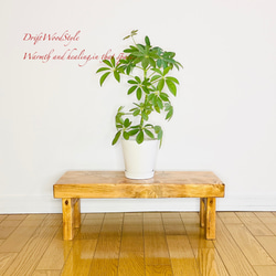 海の世界を閉じ込めた流木アート 浅瀬を歩くヤドカリ 水中ジオラマ