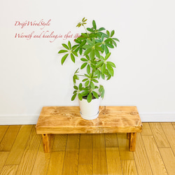 厚い流木板で作った流木スツール フラワースタンド 椅子 ベンチ ヴィンテージ N4 2枚目の画像