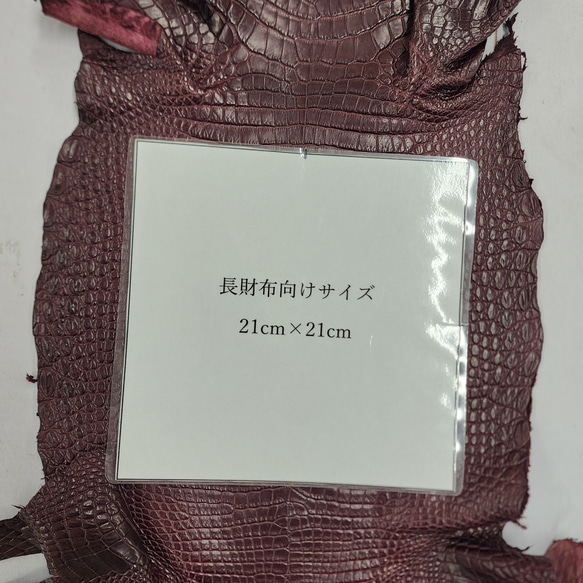 ワニ革 クロコ 半艶マット  ボルドー　No.C008984 8枚目の画像