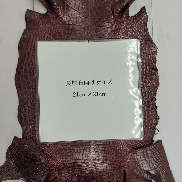 ワニ革 クロコ 半艶マット  ボルドー　No.C008985 8枚目の画像